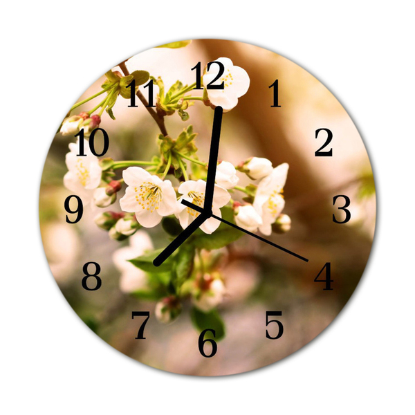 Horloge murale en verre Nature