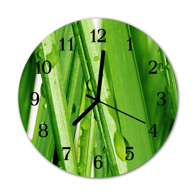 Horloge murale en verre Rosée d'herbe