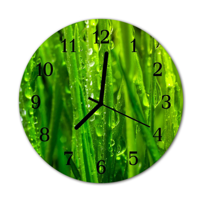 Horloge murale en verre Herbe