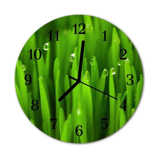 Horloge murale en verre Rosée d'herbe