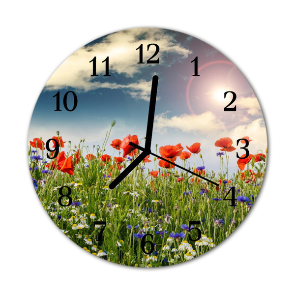 Horloge murale en verre Prairie