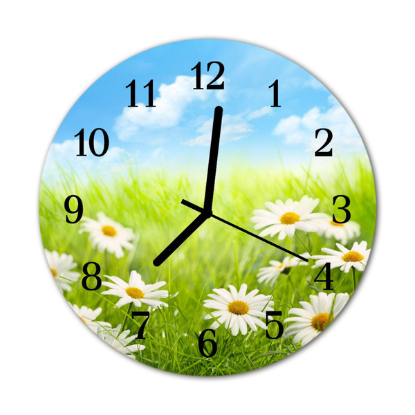 Horloge murale en verre Prairie