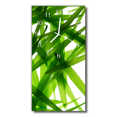 Horloge murale en verre Feuilles de plantes