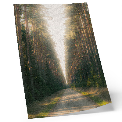 Affiche décorative Un magnifique sentier forestier bordé de grands arbres