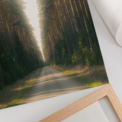 Affiche décorative Un magnifique sentier forestier bordé de grands arbres