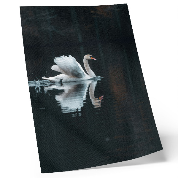 Décoration murale Cygne sur l'eau avec reflet