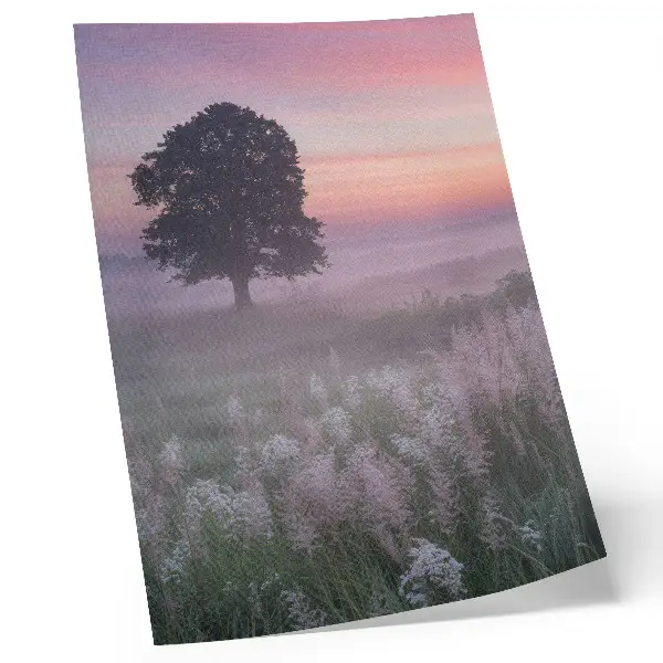 Impression sur toile arbre solitaire dans le brouillard avec un ciel aux couleurs pastel