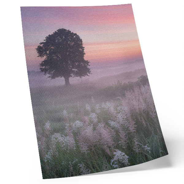 Impression sur toile Arbre solitaire dans le brouillard, ciel aux couleurs pastel