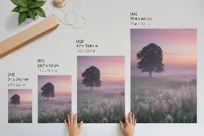 Impression sur toile arbre solitaire dans le brouillard avec un ciel aux couleurs pastel