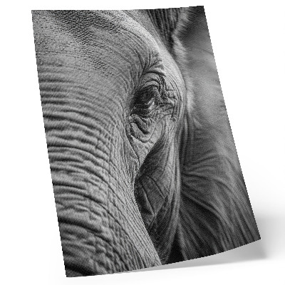 Affiche décorative L'œil d'un éléphant, riche en textures, en harmonie et en paix.