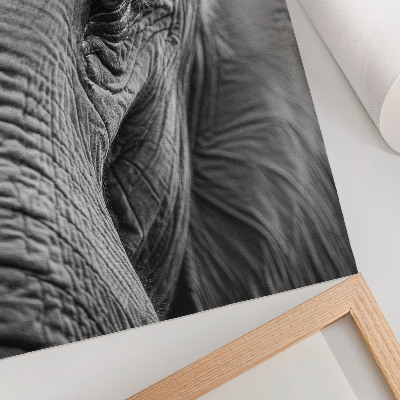 Affiche décorative L'œil d'un éléphant, riche en textures, en harmonie et en paix.