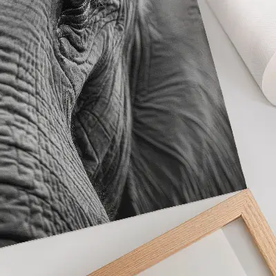 Affiche décorative représentant l'œil d'un éléphant riche en textures, en harmonie et en paix