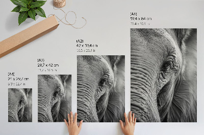 Affiche décorative L'œil d'un éléphant, riche en textures, en harmonie et en paix.