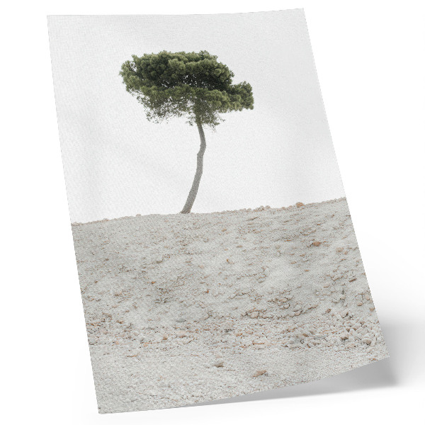 Décoration murale Arbre solitaire sur fond clair, minimalisme