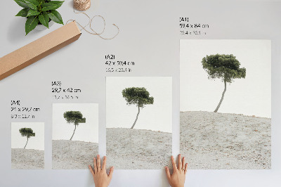 Décoration murale Arbre solitaire sur fond clair, minimalisme