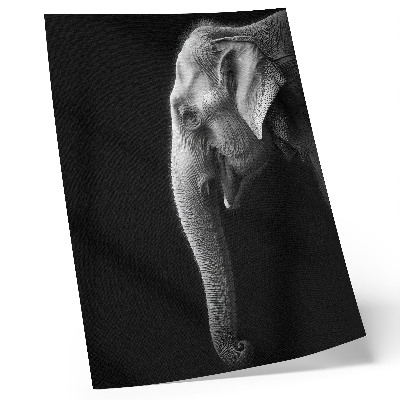 Décoration murale Portrait monochrome d'un éléphant de profil