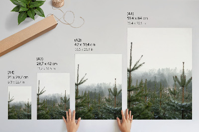 Affiche décorative Pins verts, brouillard, profondeur subtile, atmosphère relaxante