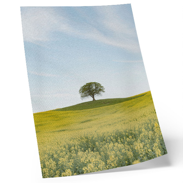 Décoration murale Un arbre sur une colline dans un champ jaune