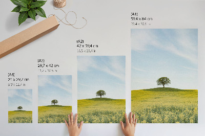 Décoration murale Un arbre sur une colline dans un champ jaune