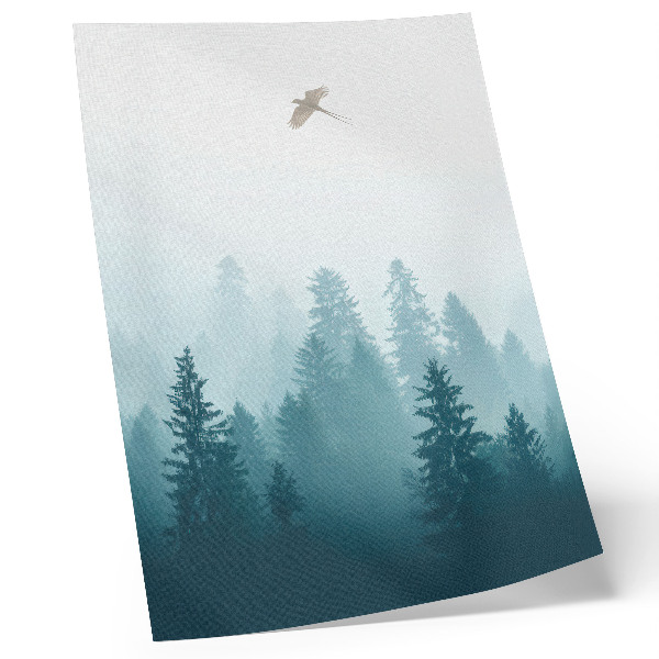 Impression sur toile oiseau de la forêt brumeuse et douce, haut au-dessus des arbres