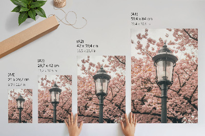 Affiche décorative Arbres roses, lanterne noire, atmosphère nostalgique