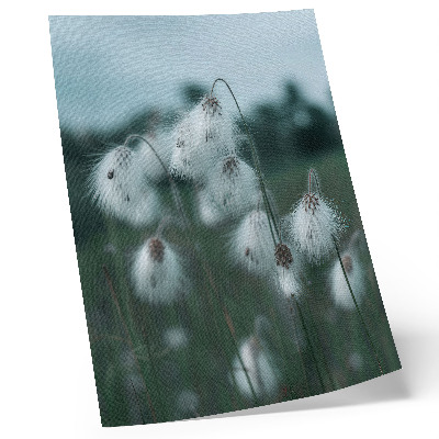 Impression sur toile Épis d'herbe légers, délicatesse, bleu, paix