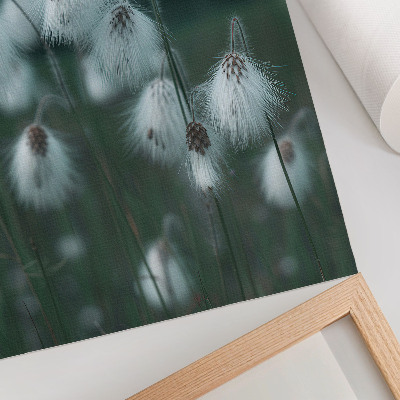 Impression sur toile Épis d'herbe légers, délicatesse, bleu, paix