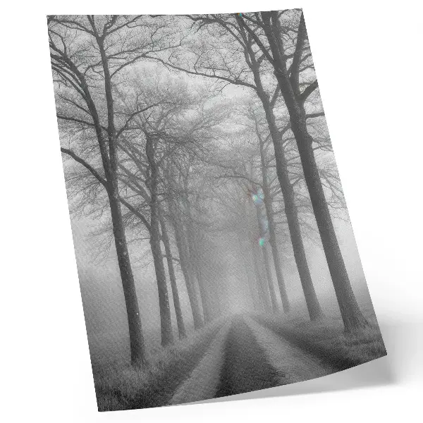 Impression sur toile allée des arbres brumeux au style minimalisme moderne