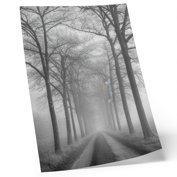 Impression sur toile Allée des arbres brumeux Minimalisme moderne