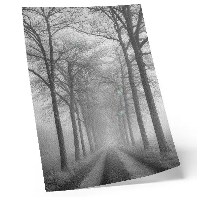 Impression sur toile allée des arbres brumeux au style minimalisme moderne
