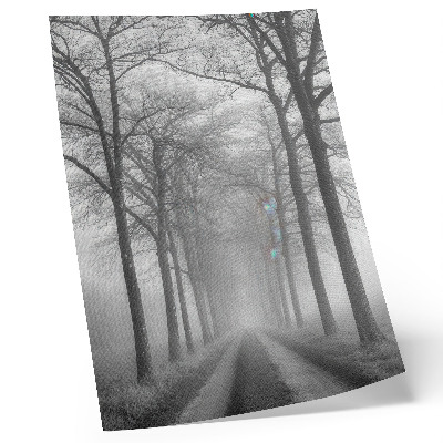 Impression sur toile Allée des arbres brumeux Minimalisme moderne