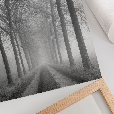 Impression sur toile Allée des arbres brumeux Minimalisme moderne