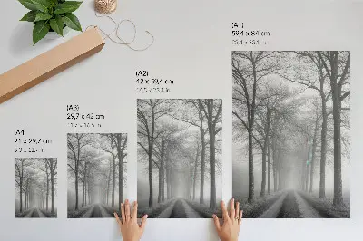 Impression sur toile allée des arbres brumeux au style minimalisme moderne
