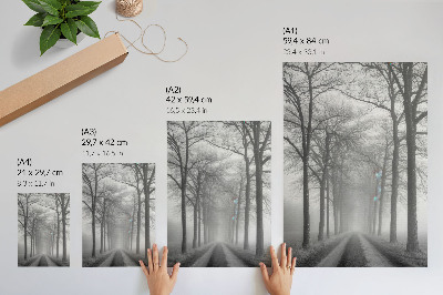 Impression sur toile Allée des arbres brumeux Minimalisme moderne