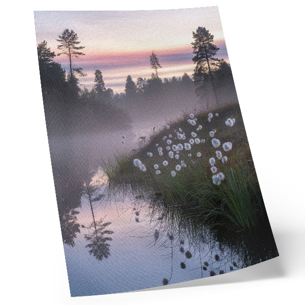 Décoration murale Un matin paisible au bord du lac dans le brouillard
