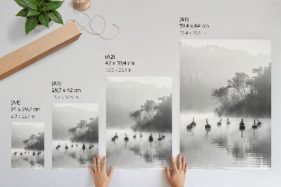 Affiche décorative Paysage en noir et blanc avec des bouées et du brouillard