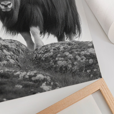 Affiche décorative Élégance brute de la nature animale en noir et blanc