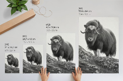 Affiche décorative Élégance brute de la nature animale en noir et blanc