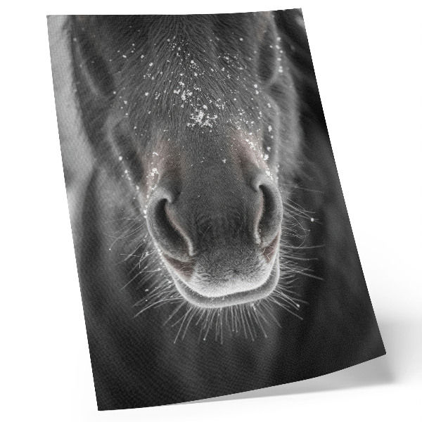 Affiche décorative Gros plan photoréaliste du visage d'un cheval dans la neige