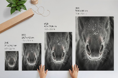 Affiche décorative Gros plan photoréaliste du visage d'un cheval dans la neige