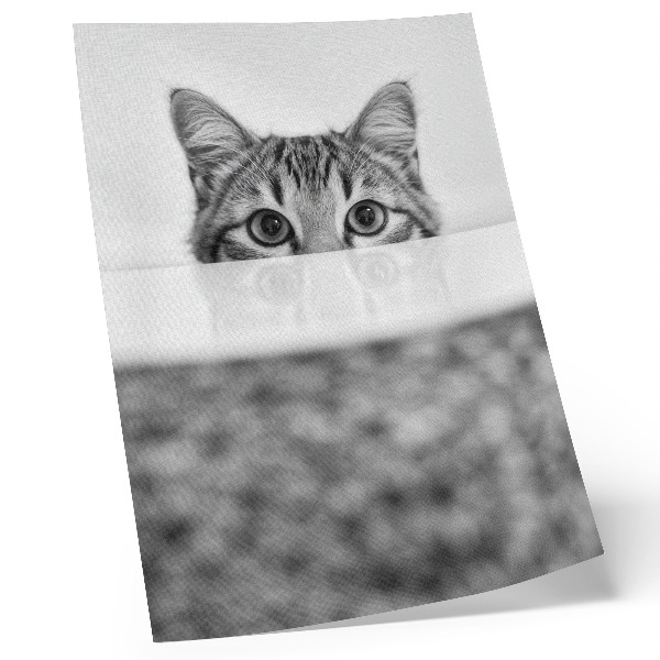 Impression sur toile Chat derrière la surface du minimalisme noir et blanc