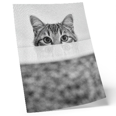 Impression sur toile Chat derrière la surface du minimalisme noir et blanc