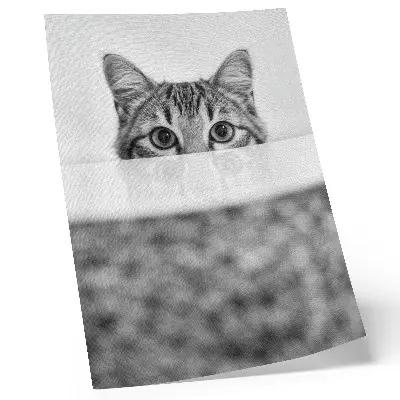 Impression sur toile représentant un chat derrière une surface minimaliste en noir et blanc