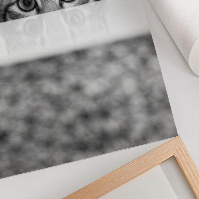 Impression sur toile Chat derrière la surface du minimalisme noir et blanc
