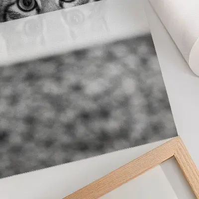 Impression sur toile représentant un chat derrière une surface minimaliste en noir et blanc