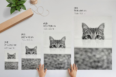 Impression sur toile Chat derrière la surface du minimalisme noir et blanc