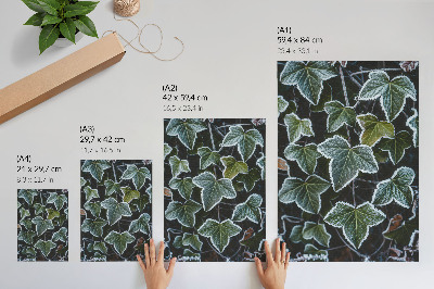 Décoration murale Feuilles vertes bordées de givre blanc