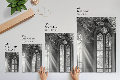Impression sur toile Vieilles fenêtres gothiques, lumière, feuilles mystérieuses