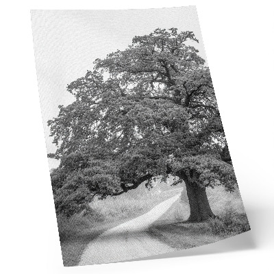 Affiche décorative Arbre monumental, paysage paisible