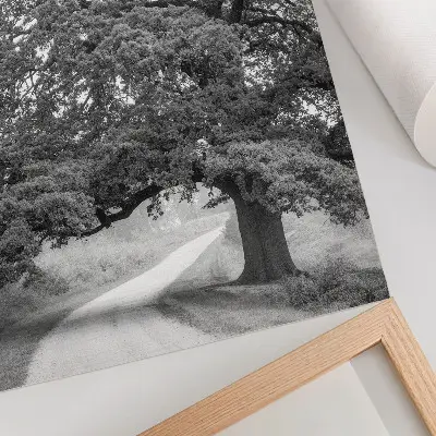 Affiche décorative représentant un arbre monumental dans un paysage paisible